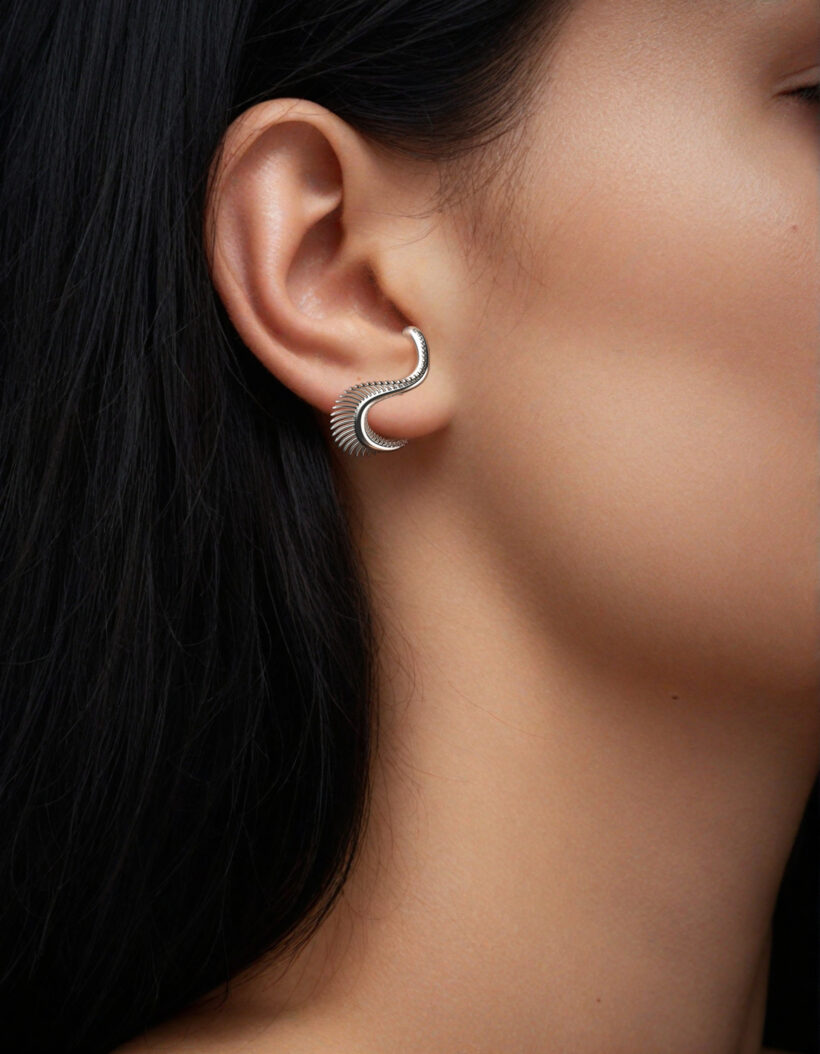 silver seahorse earrings