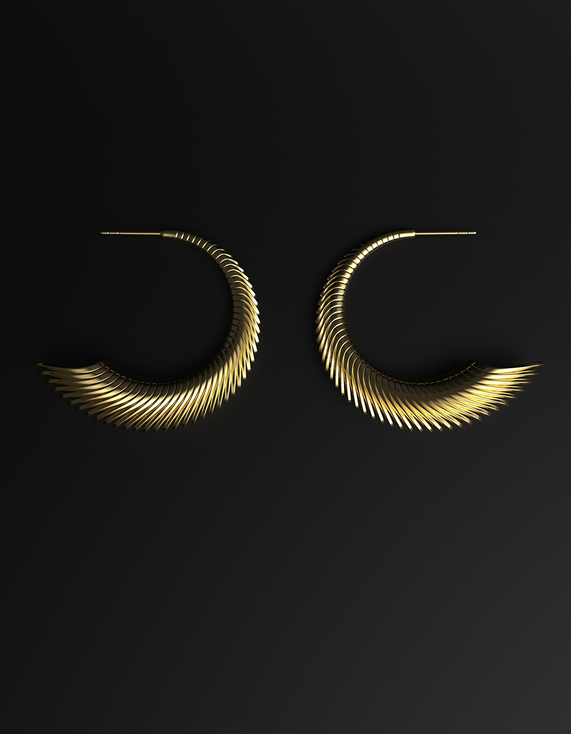 Designer hoop earrings Designer hoop earrings